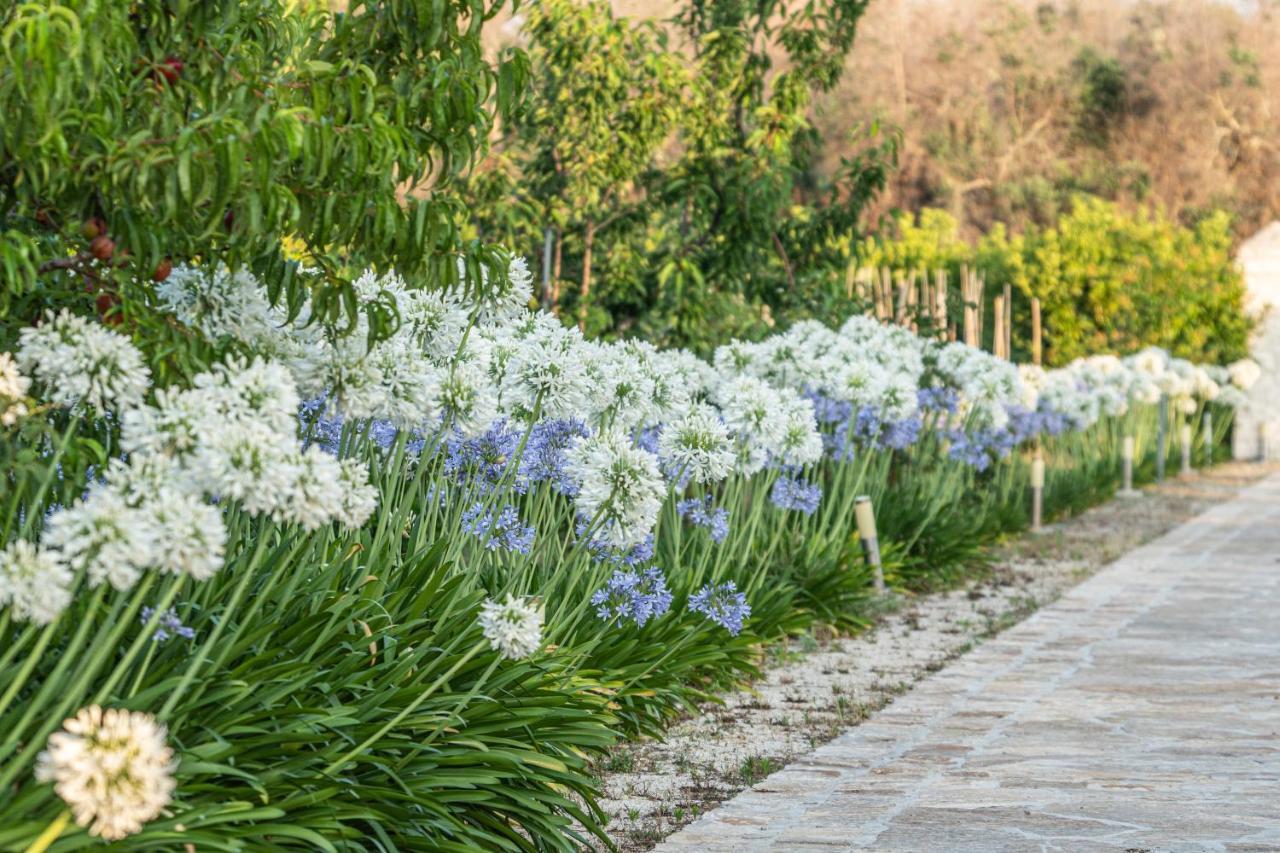 Agriturismo Panacea Santa Cesarea Terme Eksteriør billede