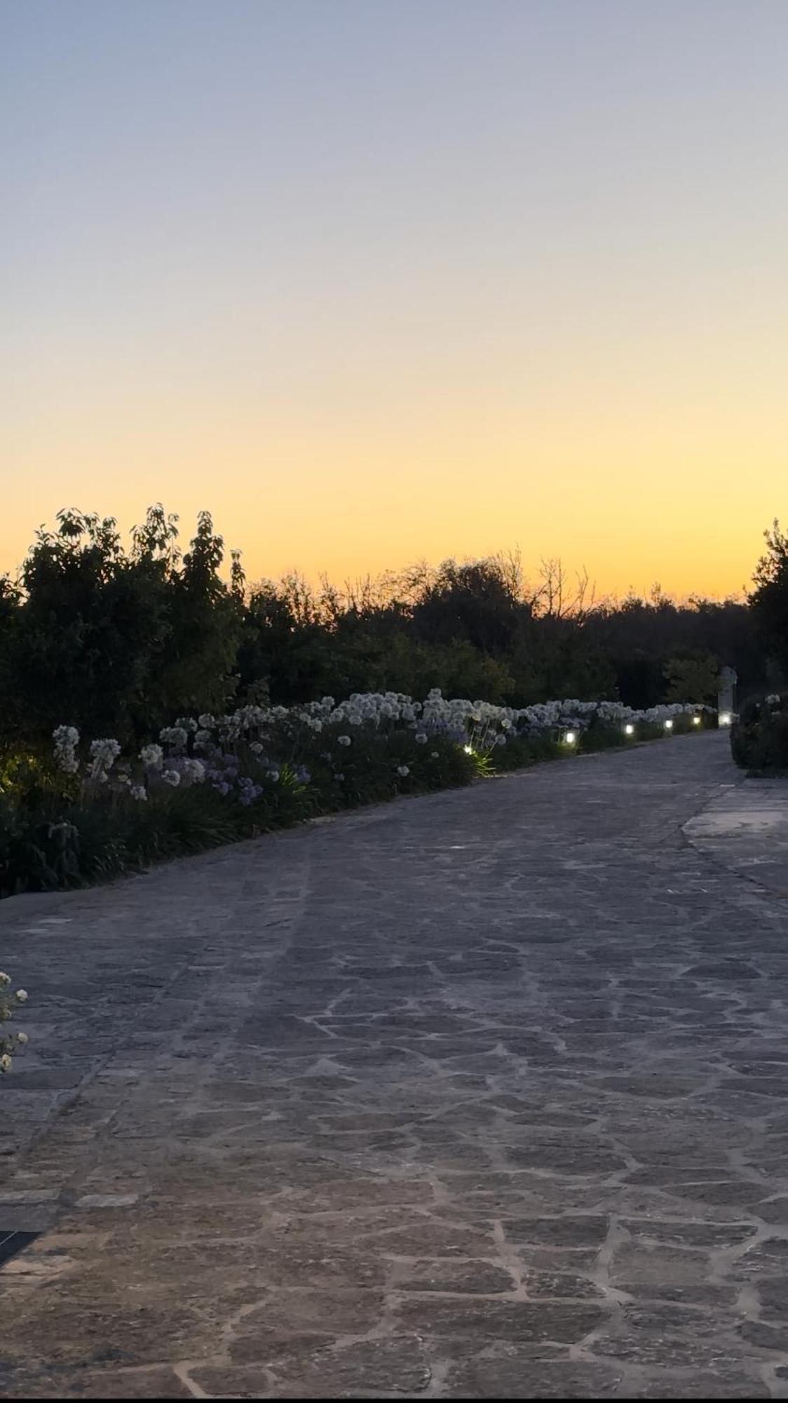 Agriturismo Panacea Santa Cesarea Terme Eksteriør billede